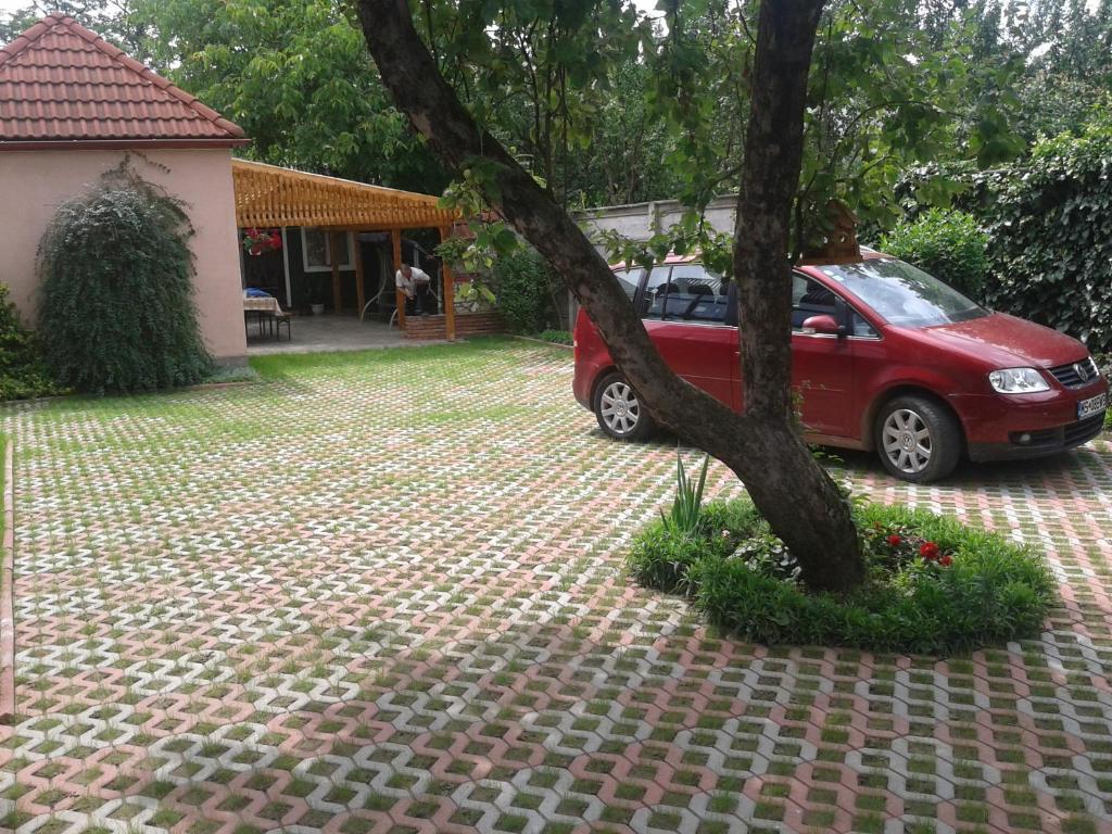 Csaki Vendeghaz Panzió Szováta Kültér fotó