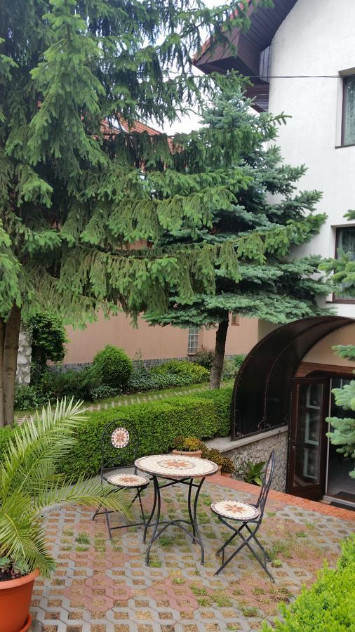 Csaki Vendeghaz Panzió Szováta Kültér fotó